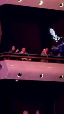 Ilda Saulic sa mužem uživa u lozi (1).jpeg