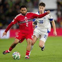 Vels - Bosna i Hercegovina