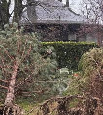 Nikolina Pišek uništen auto (3).jpg