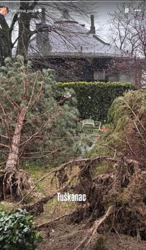 Nikolina Pišek uništen auto (4).jpg