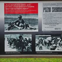 Mirjana Bobić Mojsilović (2).jpg