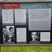 Mirjana Bobić Mojsilović (3).jpg