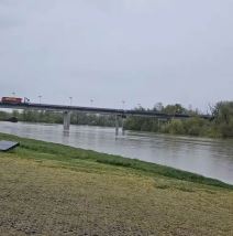 Mirjana Bobić Mojsilović (4).jpg