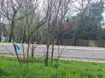 Mesto napada na ženu u Humskoj ulici (3).jpg