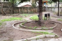 Kuća Stele Savić u koju se uselio Kristijan (22).jpg