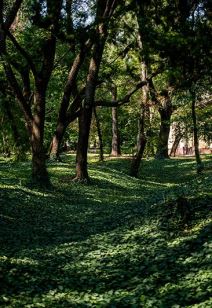 Uskršnji predah u banji: Otkrijte skrivene bisere Srbije za savršen spa vikend