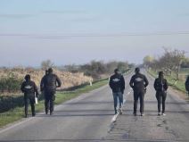 Kanjiža - Pogledajte operaciju Vojske i policije (2).jpg