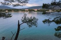 borovi Cres Hrvatska