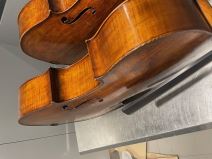 Zaplenjena violončela (2).jpg