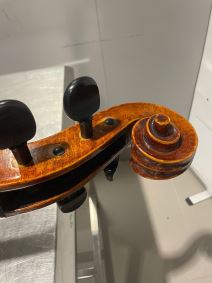 Zaplenjena violončela (3).jpg