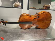 Zaplenjena violončela (4).jpg