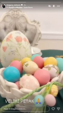 Dragana Mirković (2).jpg