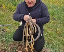 Vladica Stanković izvukao šest smukova iz šahte (3).jpg