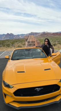 Dragana Mirković kabriolet