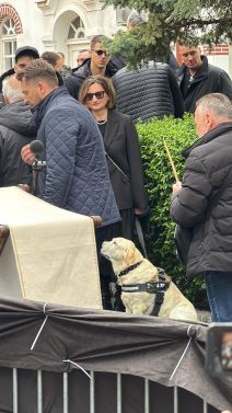 Pas Žuta na sahrani Duška Vujoševića  (2).jpg