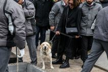 Pas Duška Vujoševića Žuta na njegovoj sahrani na Novom groblju