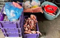 Hapsenje Ekoloski kriminal Subotica (5).jpg