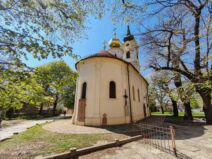 Sinovi Alberta Ajnštajna i Mileve Marić kršteni u Nikolajevskoj crkvi u Novom Sadu (4).jpg