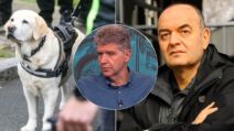 Pas Žuta, veterinar Vladimir Terzin i Duško Vujošević