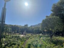 Hotel u com će se venčati Melina Džinović (1).jpg