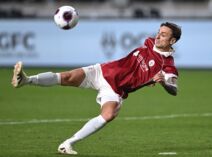 Dimitar Berbatov na utakmici Junajteda