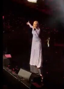 Jelena Rozga na koncertu Jakova Jozinovića (3).png