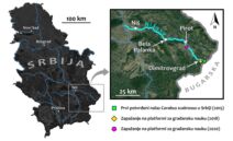 Veliki ljubičasti trčuljak (5).jpg