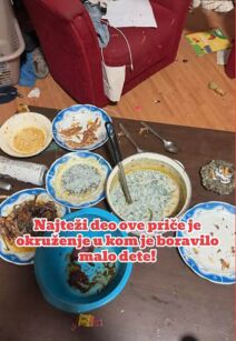 Stanari su potpuno uništili stan u Pančevu koji su iznajmljivali (5).jpg