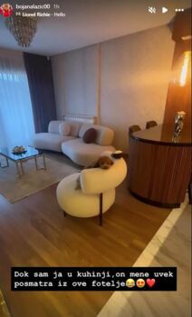 bojana lazić stan (1).jpg