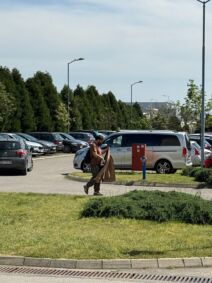 Ognjen Amidžić stigao na snimanje Pinkovih zvezda (4).jpg