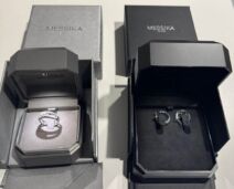 Zaplena na Preševu i na aerodromu Nikola Tesla (4).jpg