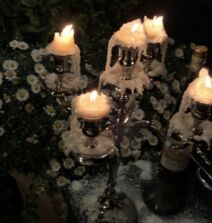 Melina Galić venčanje (4).jpg