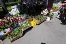 tragedija na kanarevom brdu (11).jpg