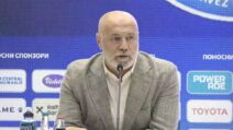 Sergej Barbarez 2.jpg
