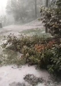 Nevreme u Majdanpeku (4).jpg