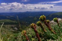 planina Dukat.jpg