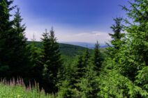 planina Dukat (2).jpg