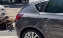 Incident kod Pravnog fakulteta.jpg