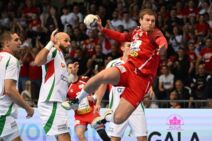 Dragan Pešmalbek na utakmici Srbija Mađarska