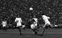 19811017tmHalilV4.jpg