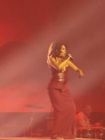 Senidah koncert (4).jpg
