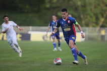 Dejan Zukić Vojvodina (4).jpg