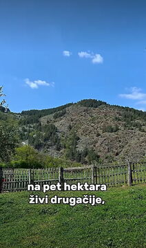 Švajcarac u Srbiji (2).png