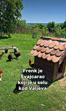 Švajcarac u Srbiji (3).png