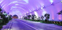 Tunel sa veštačkim oblacima i cvećem