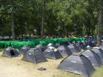 EXIT - Žurke, kupanje, pivo