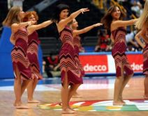 Atraktivne Crvene lisice