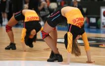 Atraktivne Crvene lisice