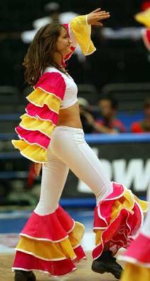 Atraktivne Crvene lisice