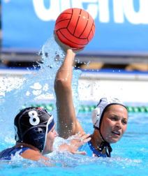 Plave "ajkulice" sa velikim srcem